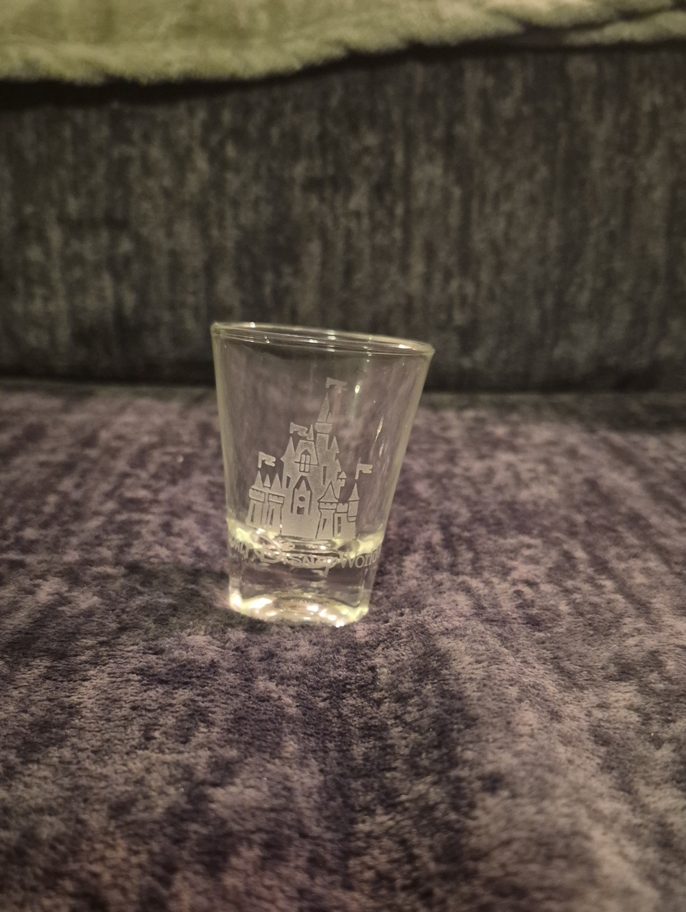 Walt Disney World Cinderella's Castle  Clear Etched Souvenir Shot Glass